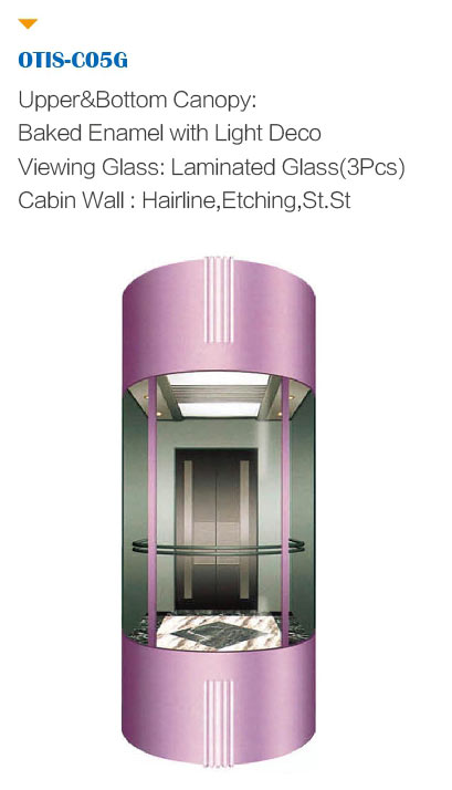 OTIS Observation Lift | 800KG, 10 Person, 8 Stop Price in Bangladesh - Image 3
